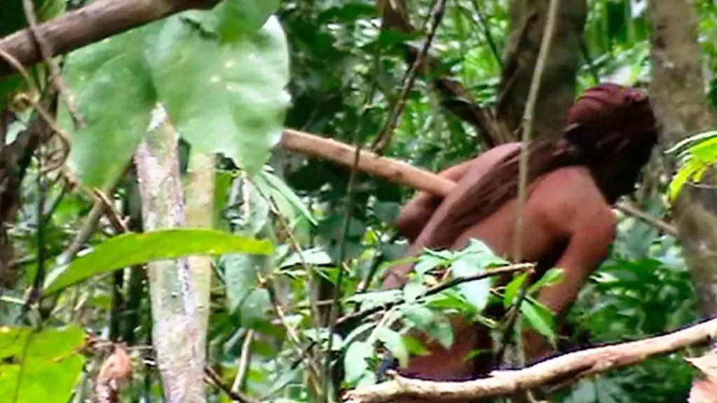 O povo Tanuru foi extinto pelo genocídio praticado pelo latifúndio ao derrubar matas e exterminar indígenas para ampliar seus pastos. Restou apenas um indivíduo. Chamavam-no Tanuru. Faleceu em agosto de 2022, após se enfeitar com um cocar e se deitar em sua rede. (Foto: FUNAI / Reprodução)