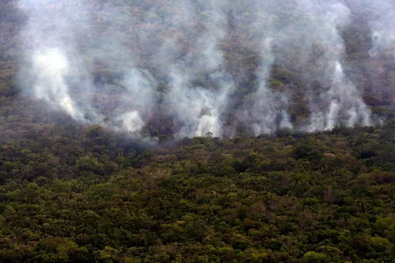 Alto Paraíso de Goiás - Imagens aéreas de focos de incêndios na Chapada dos Veadeiros (Foto: Valter Campanato/Agência Brasil)