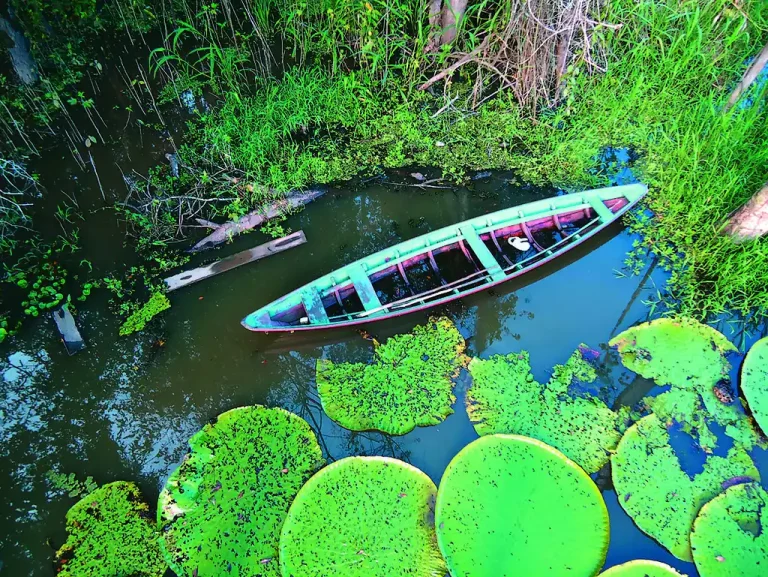 Uma canoa no Rio Tapajós. (Foto: Clairex / Flickr)
