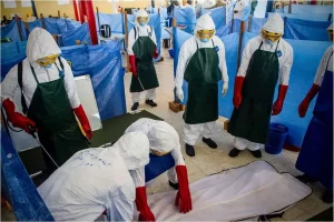 O hantavírus Andes pode se espalhar por meio de contato próximo e prolongado com uma pessoa infectada — um membro da família, cuidador ou parceiro íntimo — de uma forma que a maioria dos hantavírus não consegue. Ele pode matar de 30% a 40% das pessoas infectadas. (Foto: Terrance D. Rhodes / U.S. Army)